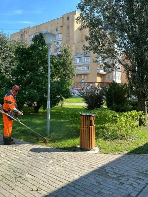 Услуги по благоустройству общественных пространств